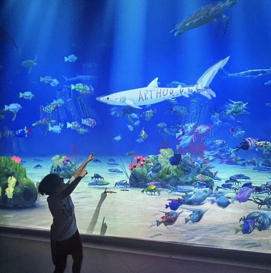 Musée des sciences Lisbonne 